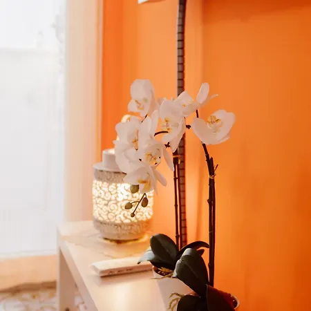 Queen Elena Apartment Civitavecchia